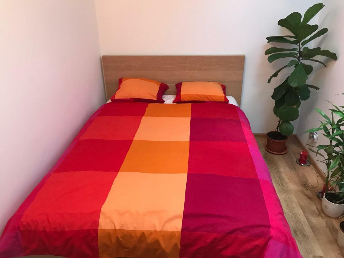 Luxury Apartment Mihai Bravu Bucureşti Eksteriør bilde